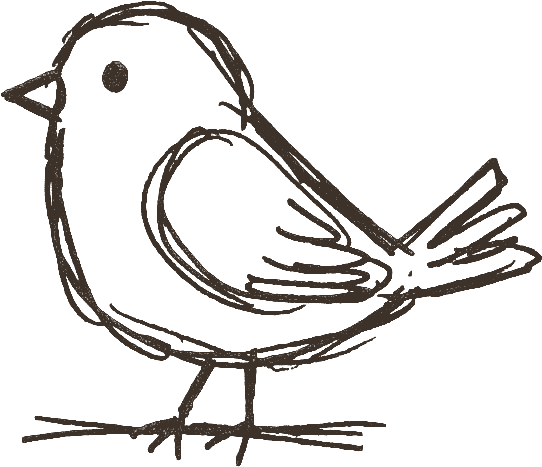 Songbird — hand-drawn bird illustration